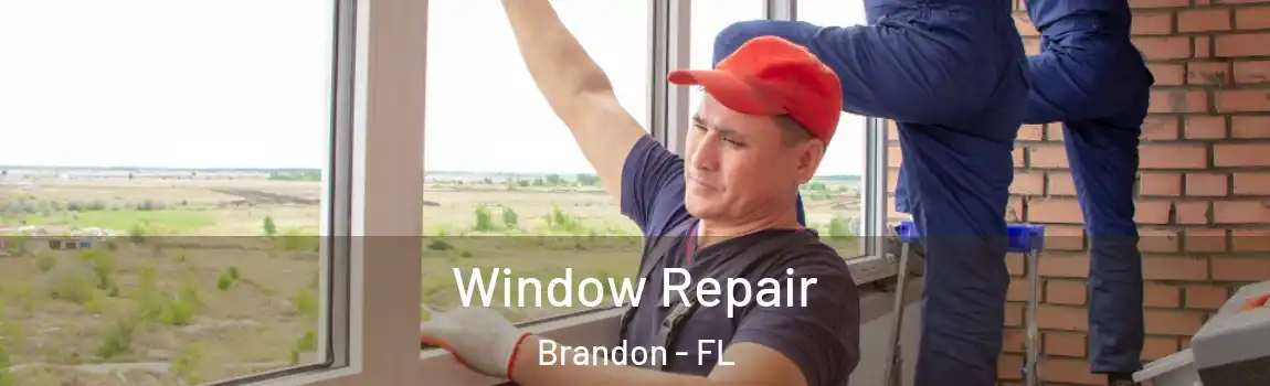 Window Repair Brandon - FL