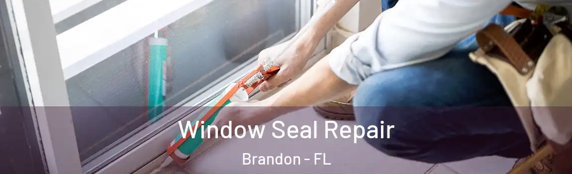 Window Seal Repair Brandon - FL